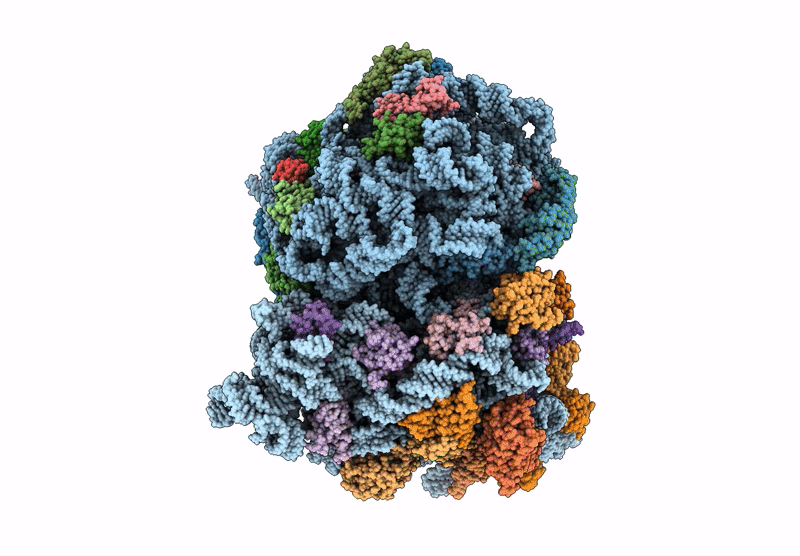 9N2B image