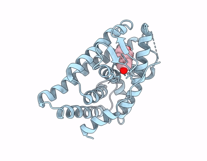 9N2J image