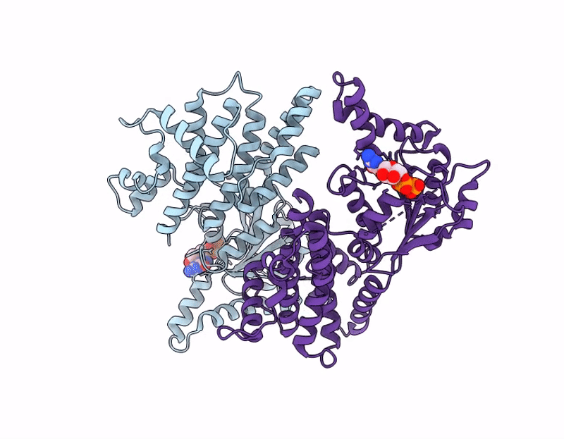 9N2S image