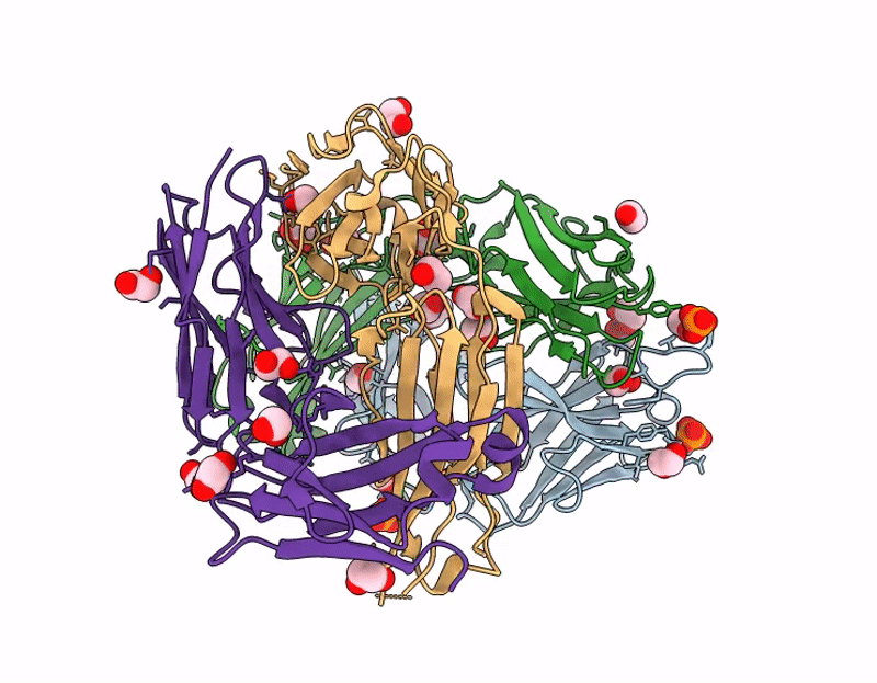 9N2V image