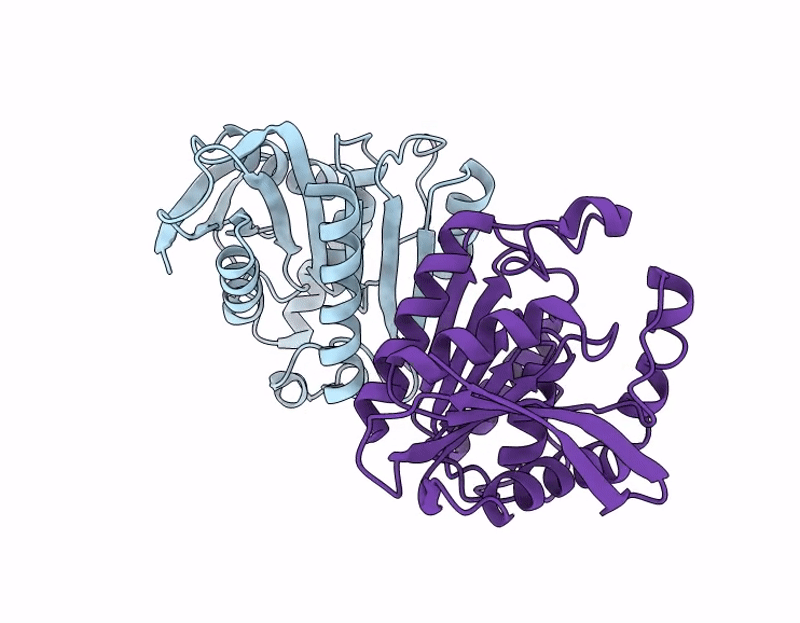 9N2W image