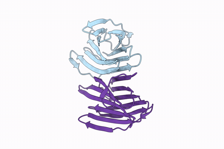 9N2X image