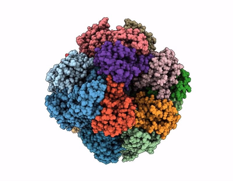 9N37 image