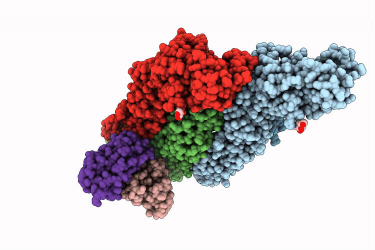 9N3B image