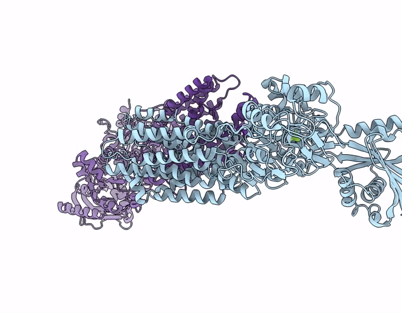 9N3V image
