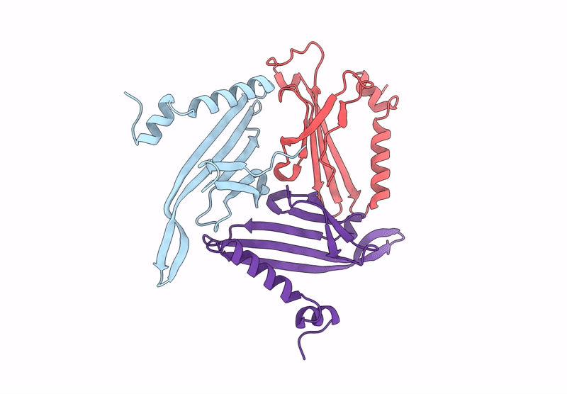 9N41 image