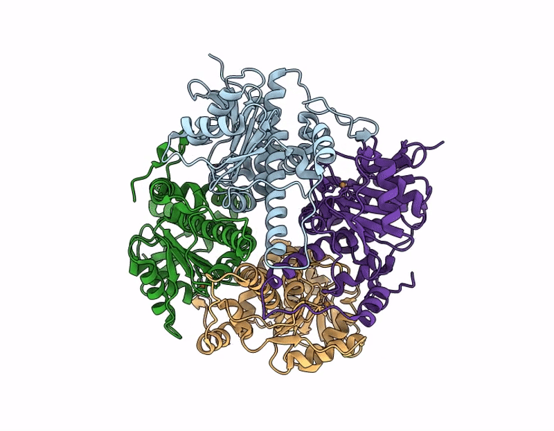 9N43 image