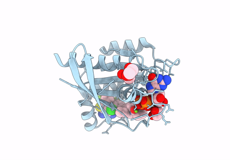 9N44 image
