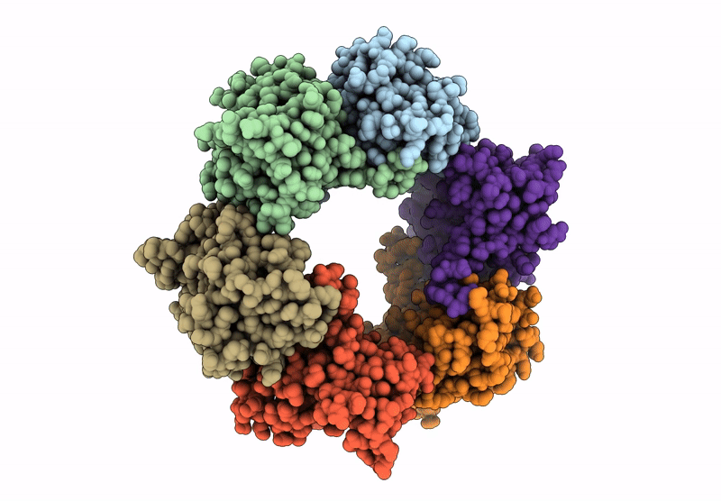 9N47 image