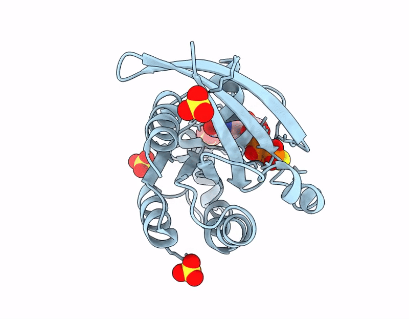 9N4B image