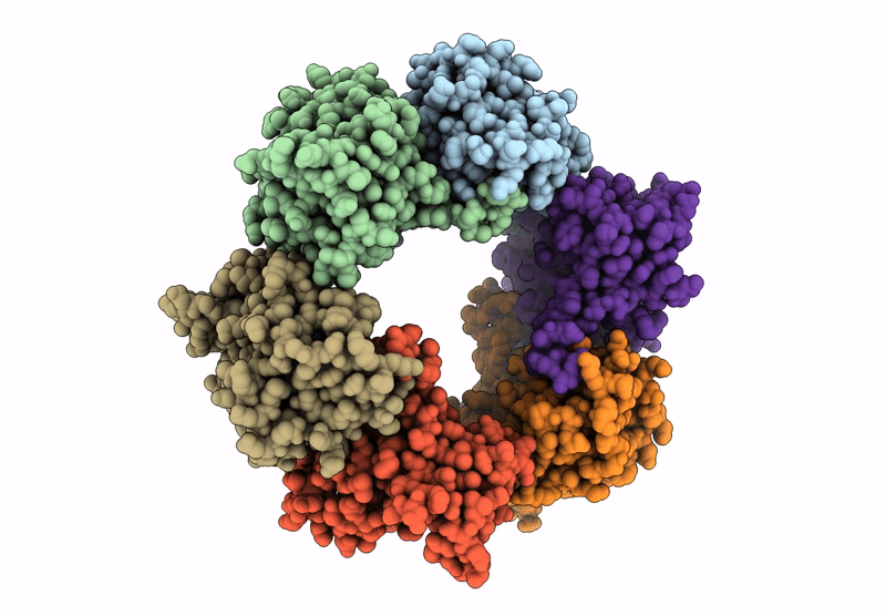 9N4D image