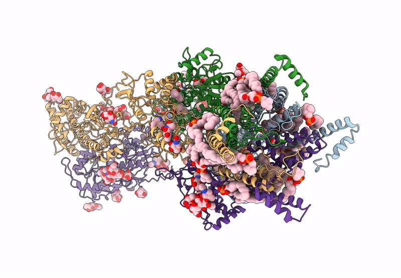 9N4R image
