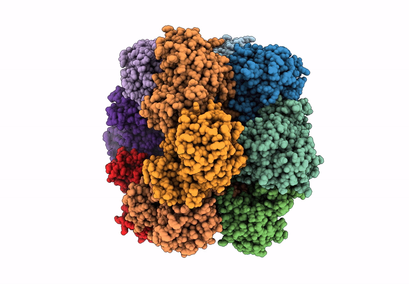 9N4X image
