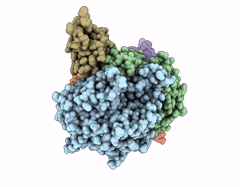 9N51 image