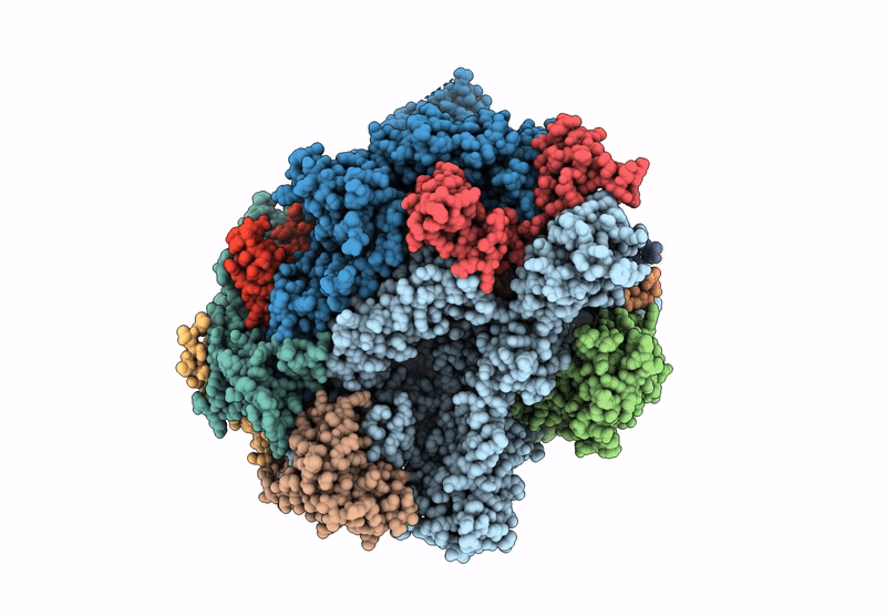 9N5B image