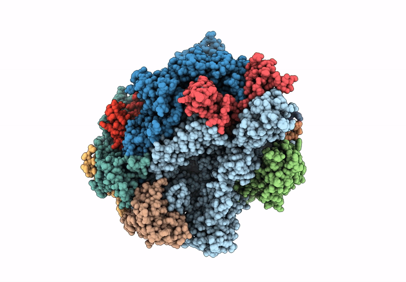 9N5C image