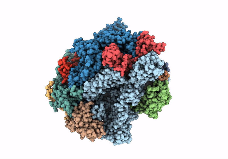 9N5D image