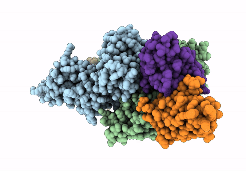9N5I image