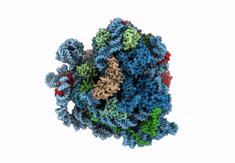 9N5T image