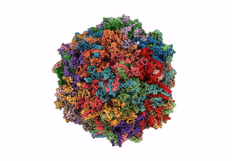 9N5X image