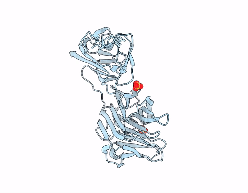 9N6A image