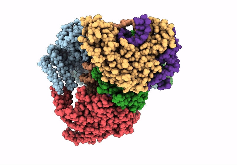 9N6C image