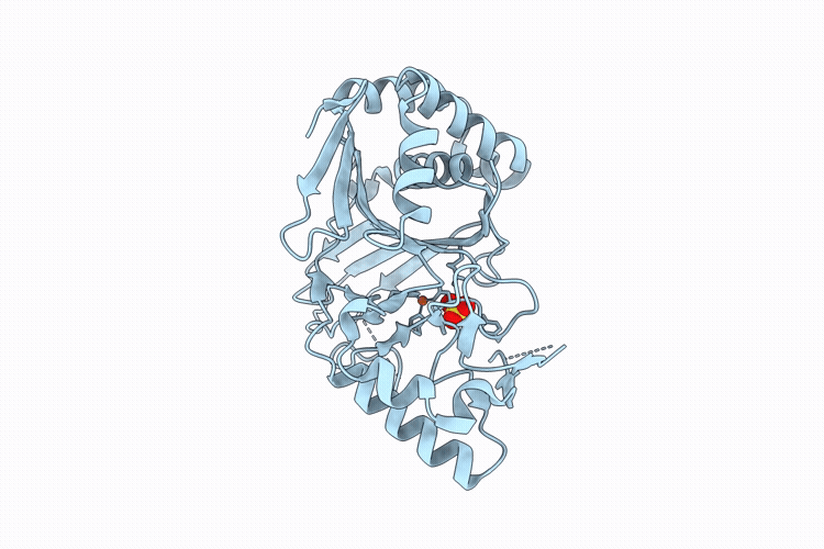 9N7P image