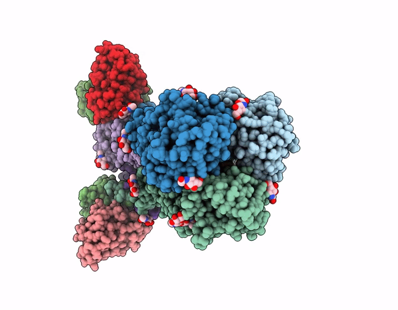 9N7Q image