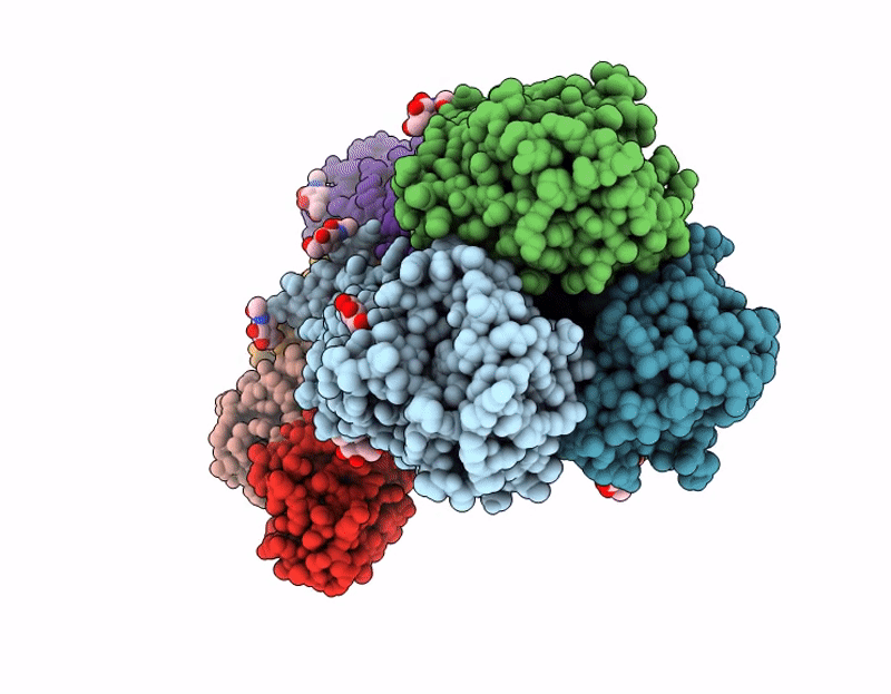 9N7S image