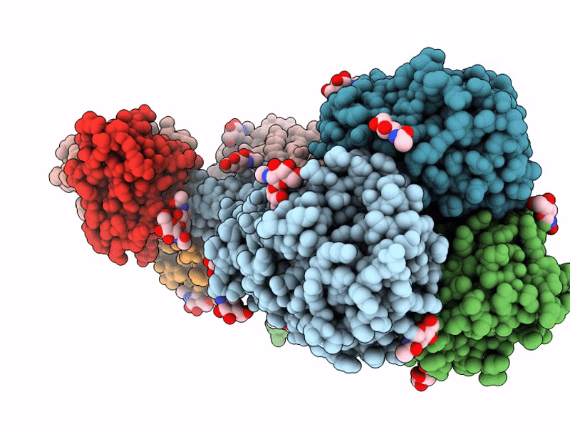 9N7V image
