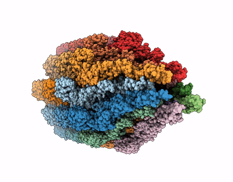 9N8B image