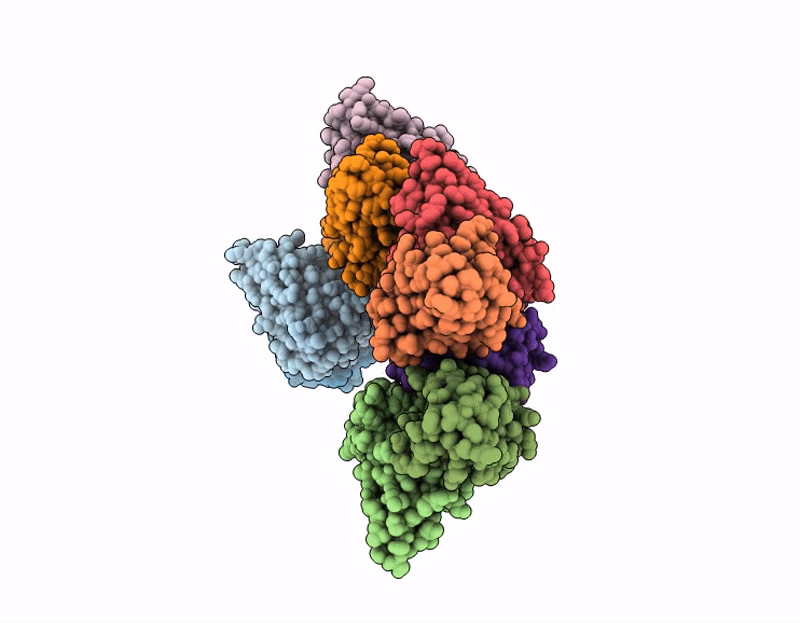 9N8J image