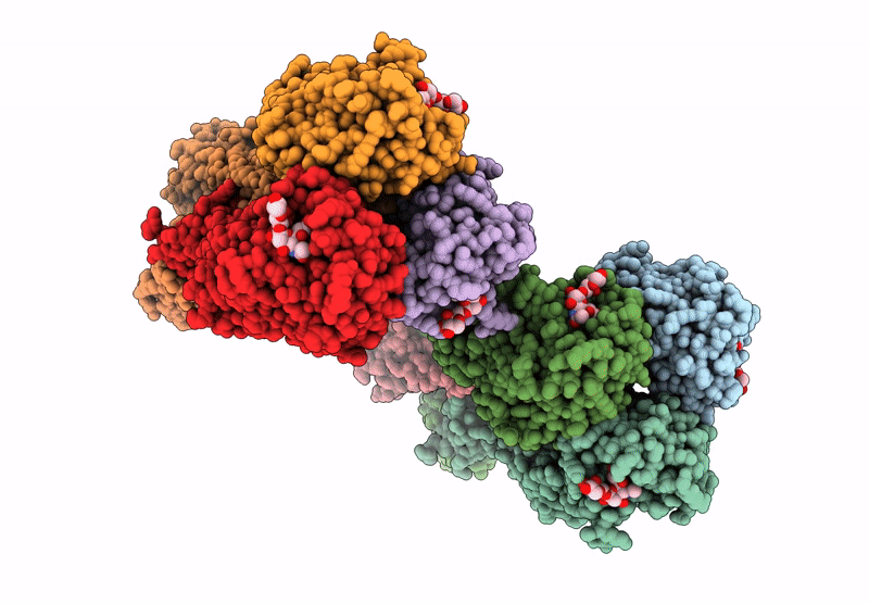 9N8P image