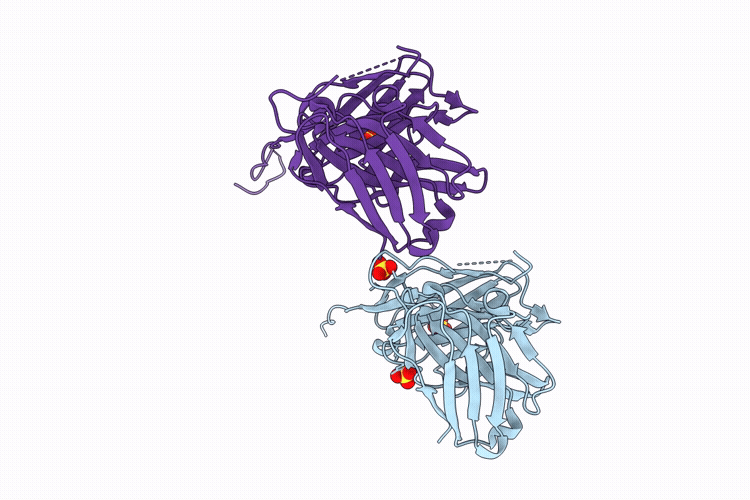 9N97 image