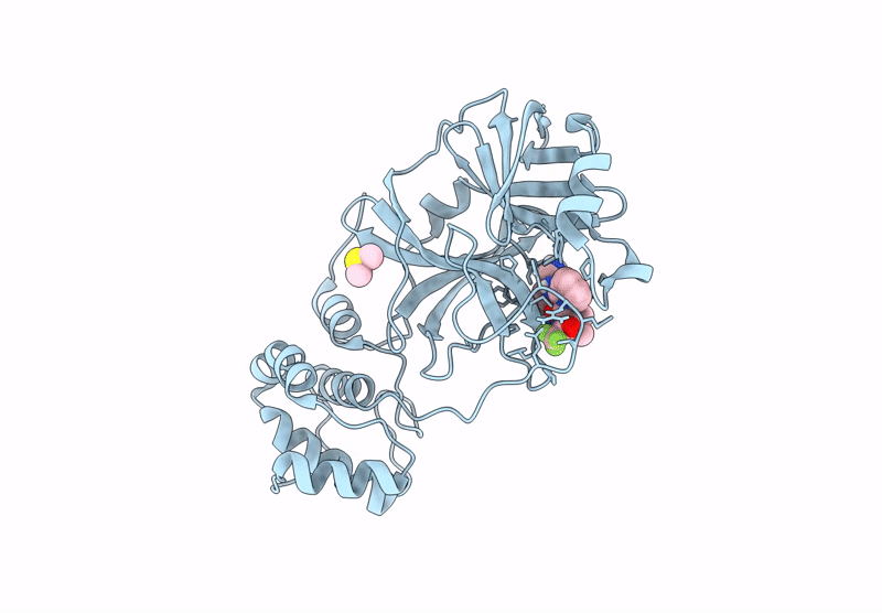 9N9B image