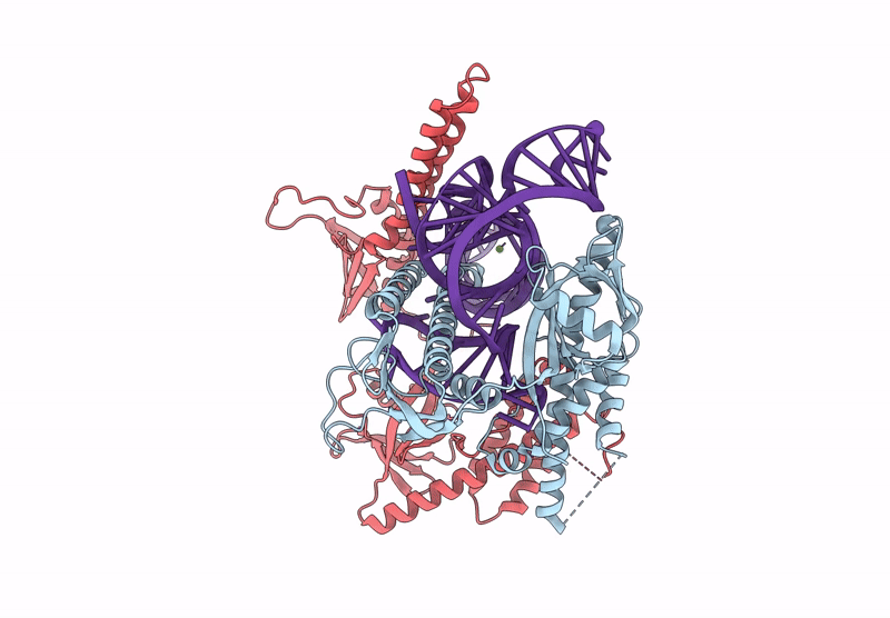 9N9C image