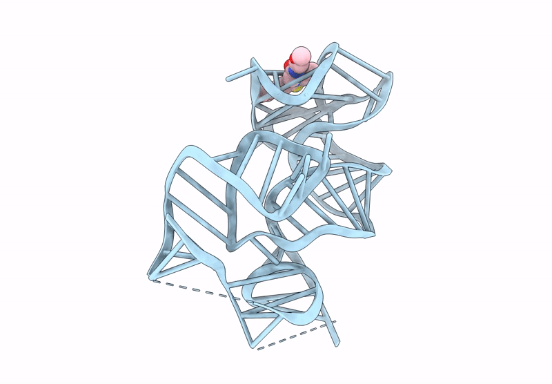 9NAP image