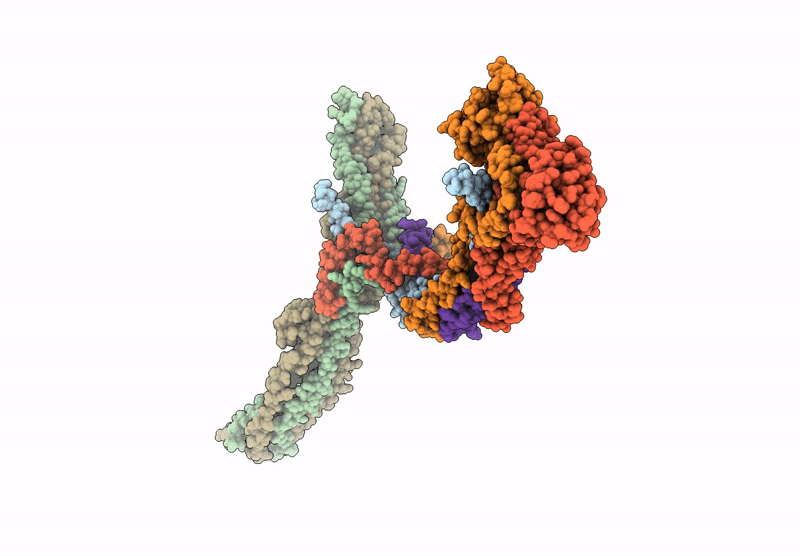 9NBB image