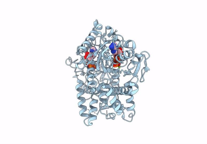 9NBL image