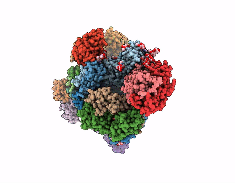 9NC3 image