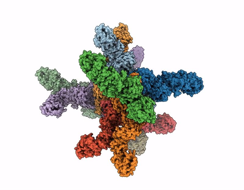 9NC9 image