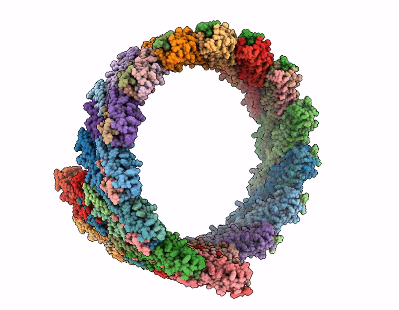 9NCJ image