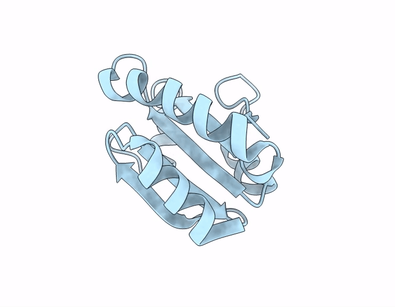 9NCL image