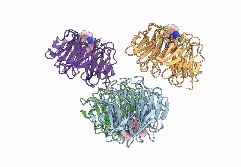 9NCV image