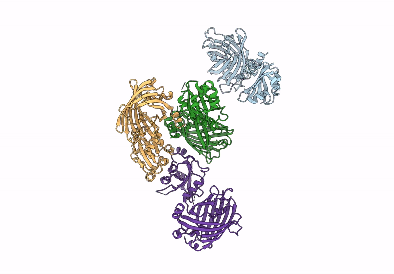 9NCX image