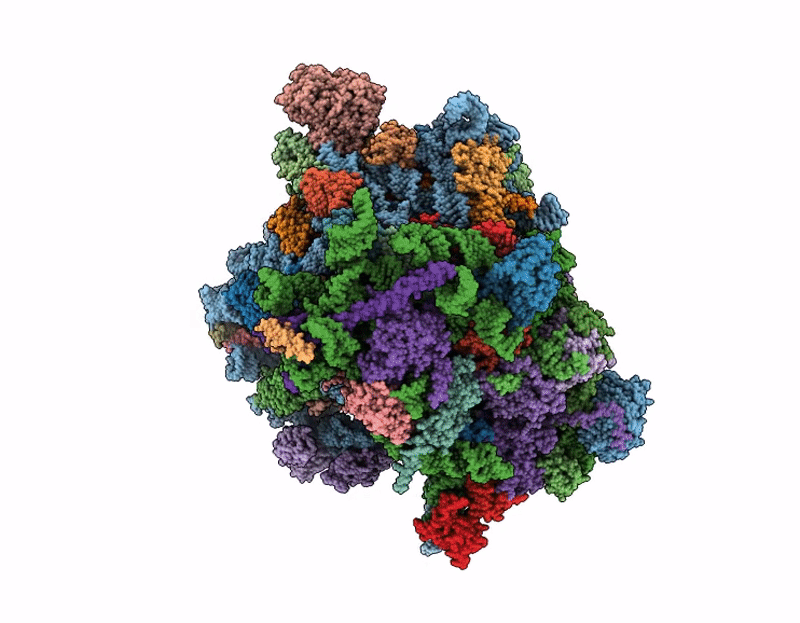 9NDP image