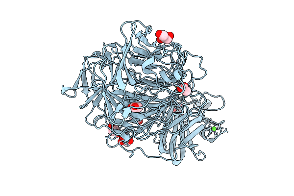 9NDR image