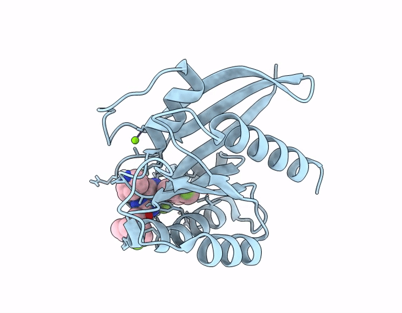 9NF2 image