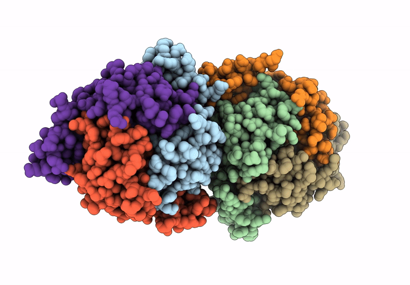 9NF6 image
