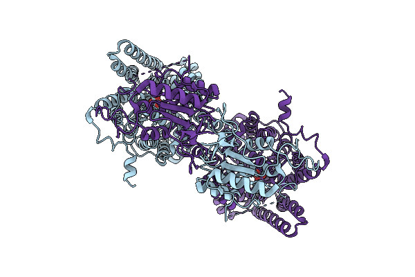 9NF7 image